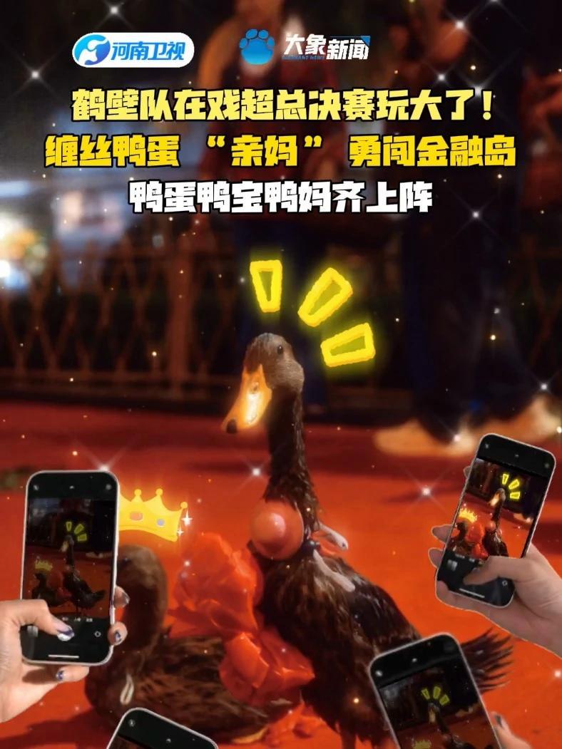 河南戏超腌入魂了 鹤壁队在戏超总决赛玩大了!乖来河南戏超唱戏了 缠丝鸭蛋“亲妈”勇闯金融岛