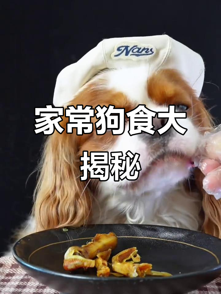 普通家庭狗狗的秘密烤鸭掌,超有爱!