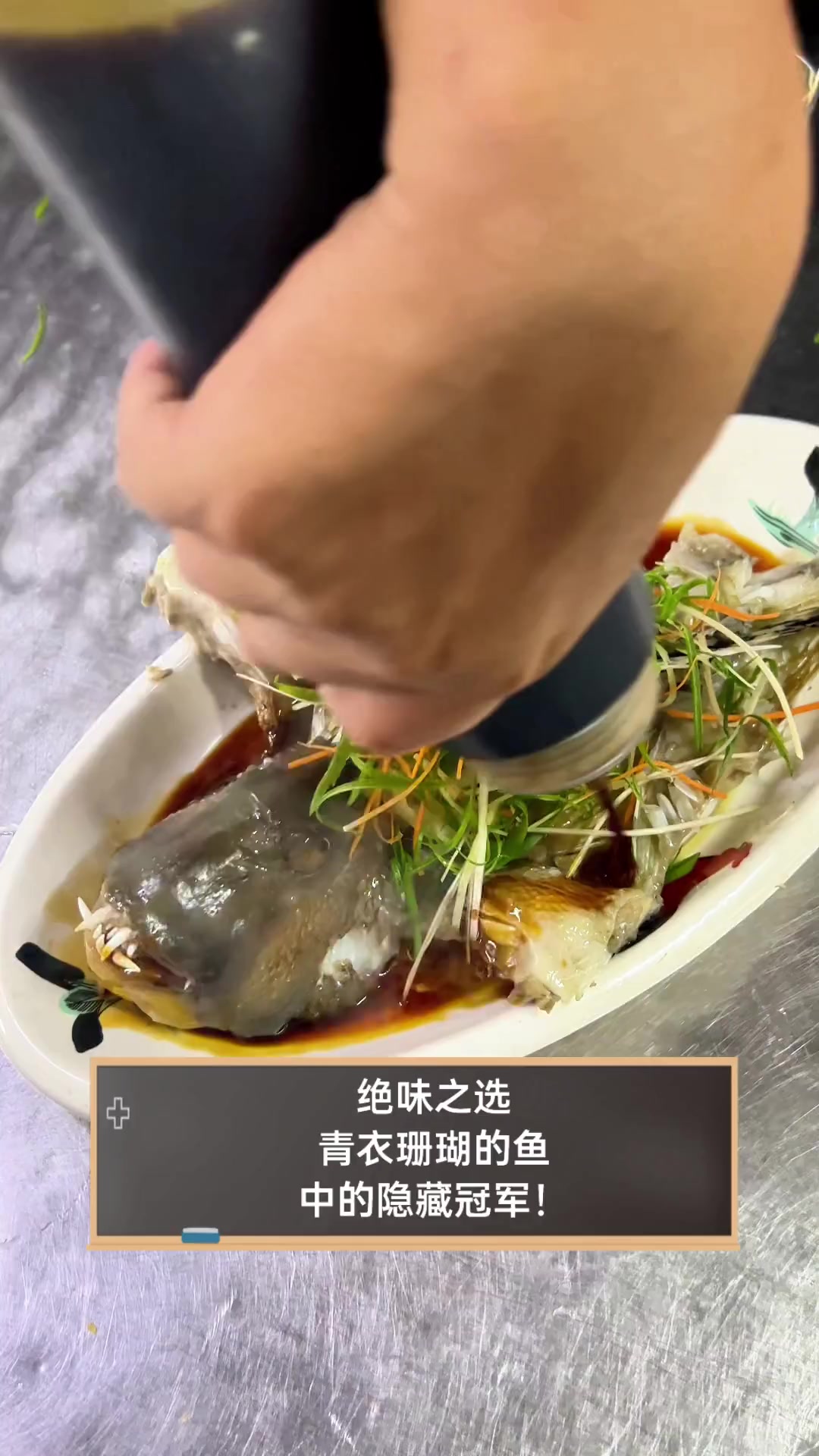 绝味之选,青衣珊瑚的鱼中的隐藏冠军!