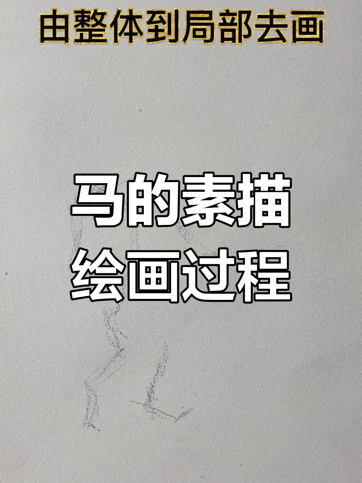 素描马匹绘制技巧全解析