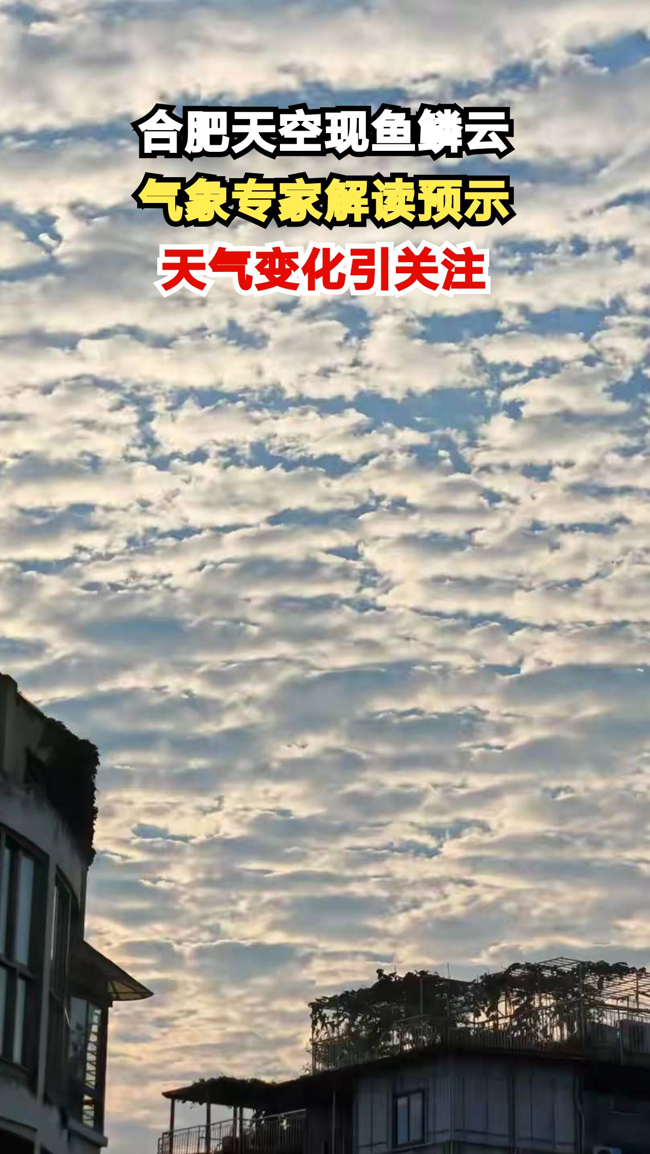 合肥鱼鳞云刷屏朋友圈 气象专家揭秘背后天气密码