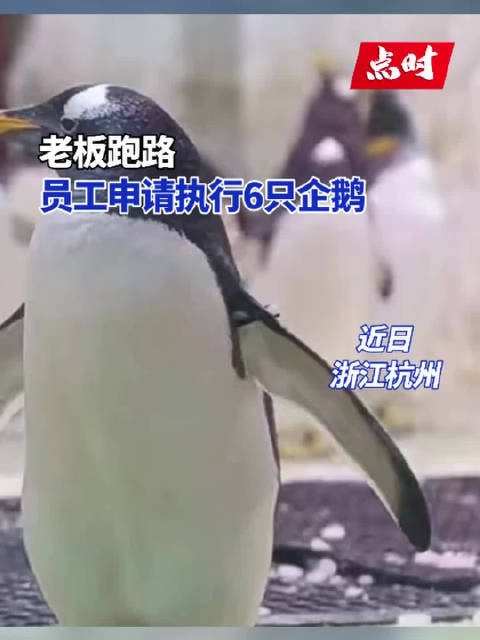 近日,浙江杭州,某企鹅餐厅倒闭停业,拖欠员工工资数万元,法定代表人名下无可执行的财产,员工