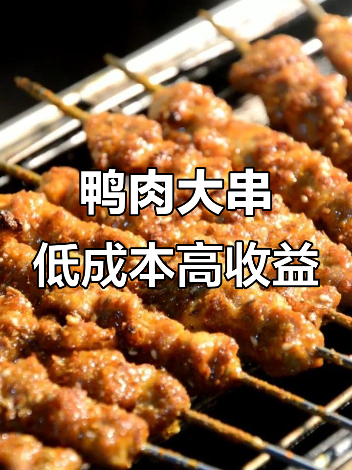 小成本大回报,最牛鸭肉串适合摊位档口