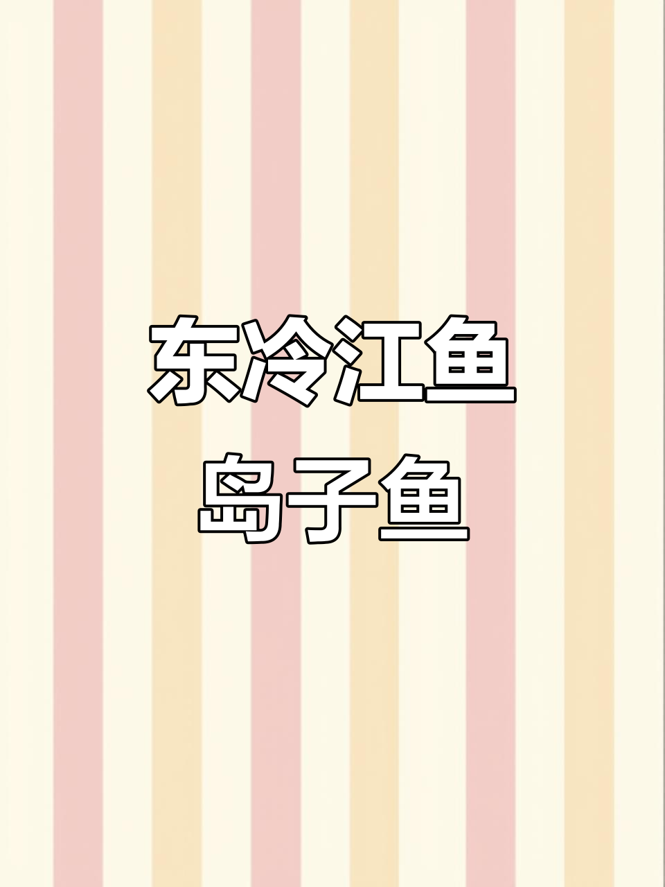 东北冷水鱼岛子鱼,翘嘴大白鱼肉质鲜美