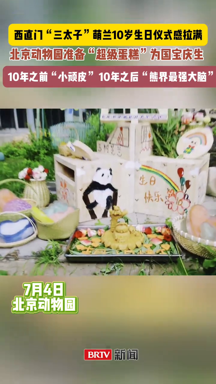 西直门三太子十岁啦！北京动物园准备“超级蛋糕”为萌兰庆生！