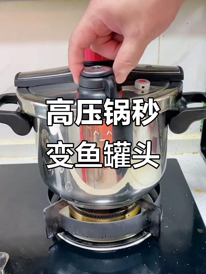 德国百年高压锅,轻松做鱼罐头,节能又耐用
