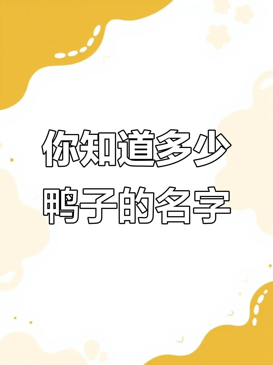 13种不同品种的鸭子，看看你认识几种？