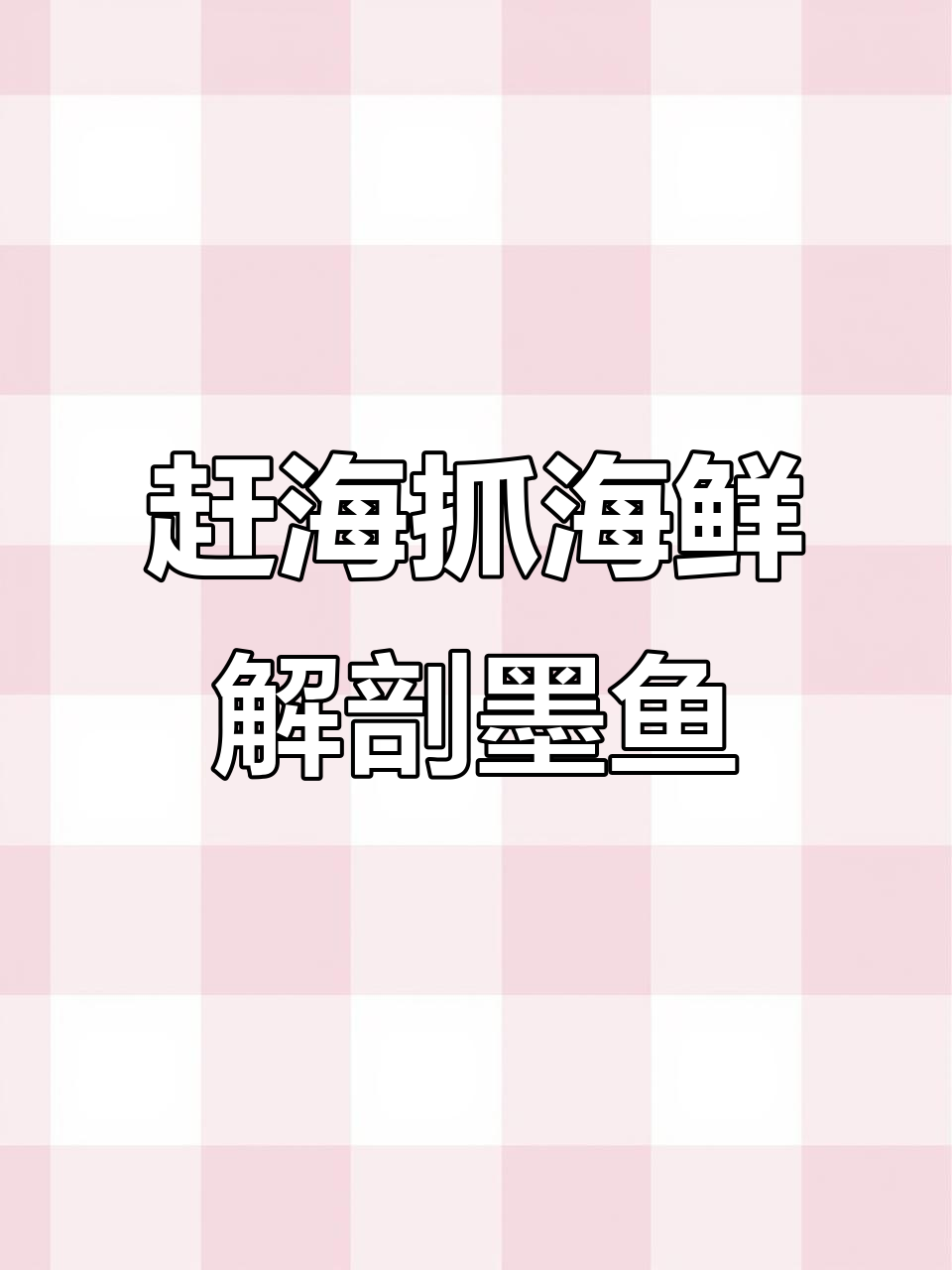 墨鱼骨揭秘:如何处理才能食用?