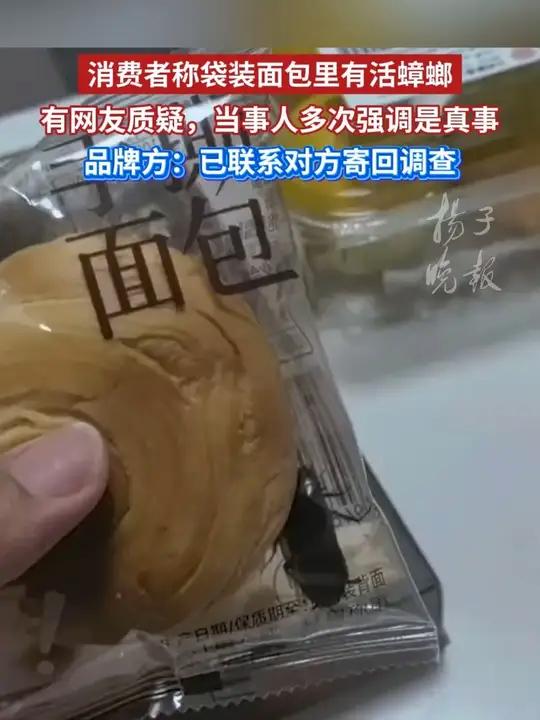 消费者称袋装面包里有活蟑螂,有网友质疑,当事人多次强调是真事,品牌方:已联系对方寄回调查