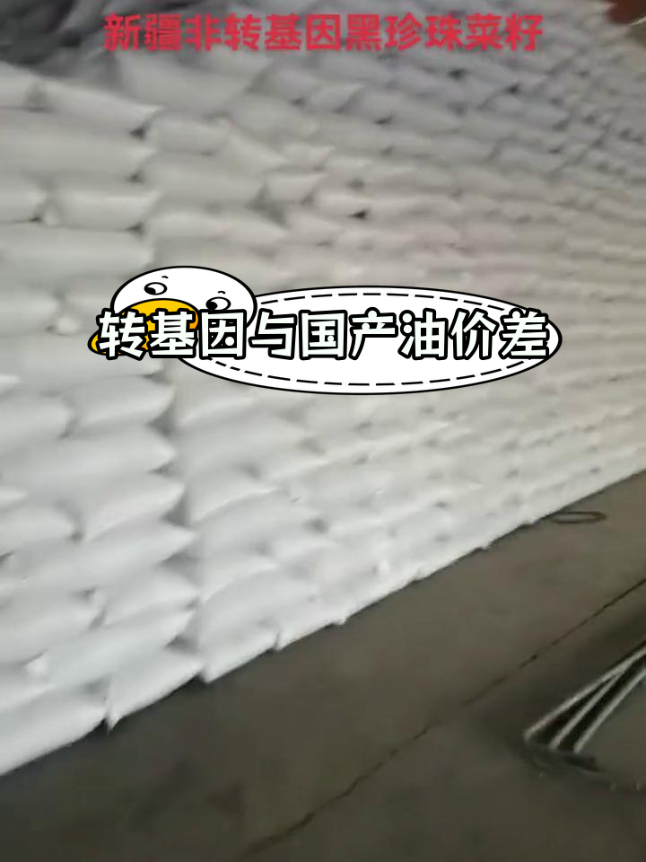 转基因菜籽油为何便宜?