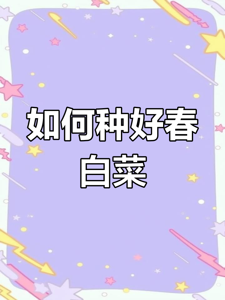 春白菜种植技巧与时机