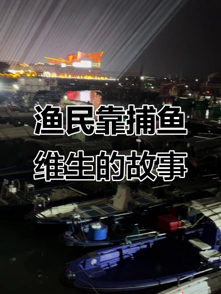 渔民捕鱼为生,码头上的船只都是他们的生存工具