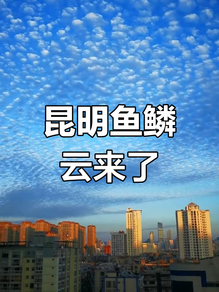 昆明鱼鳞云现身,预示接下来三天有雨