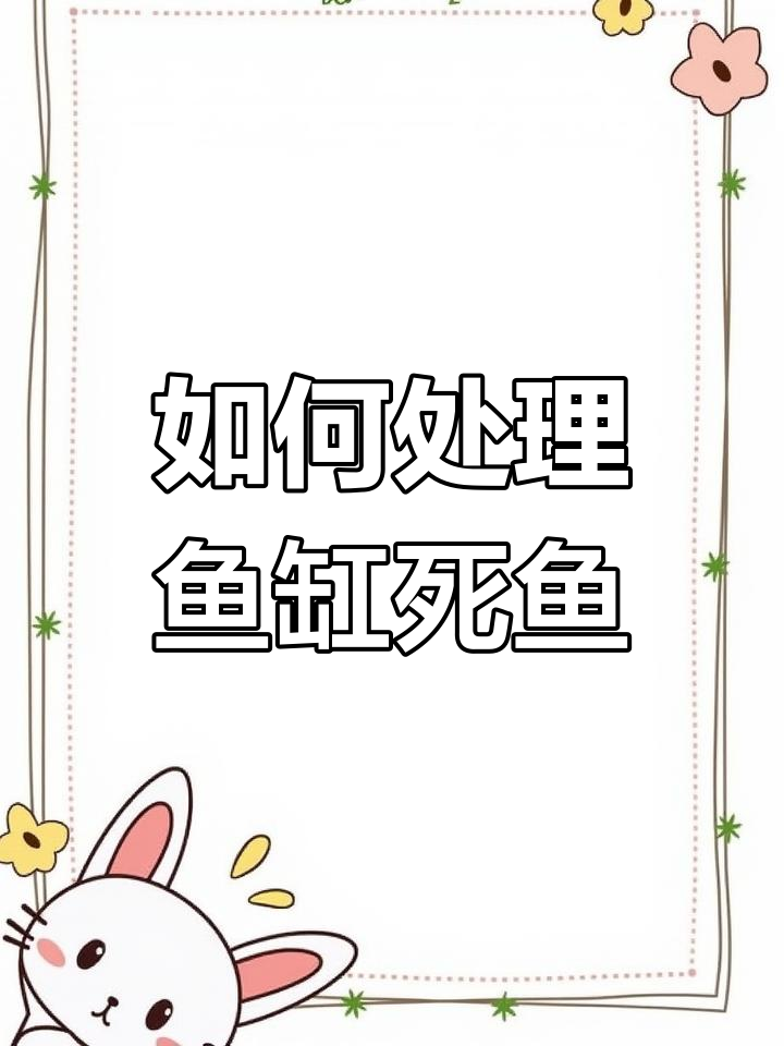鱼缸死鱼的常见原因及应对方法