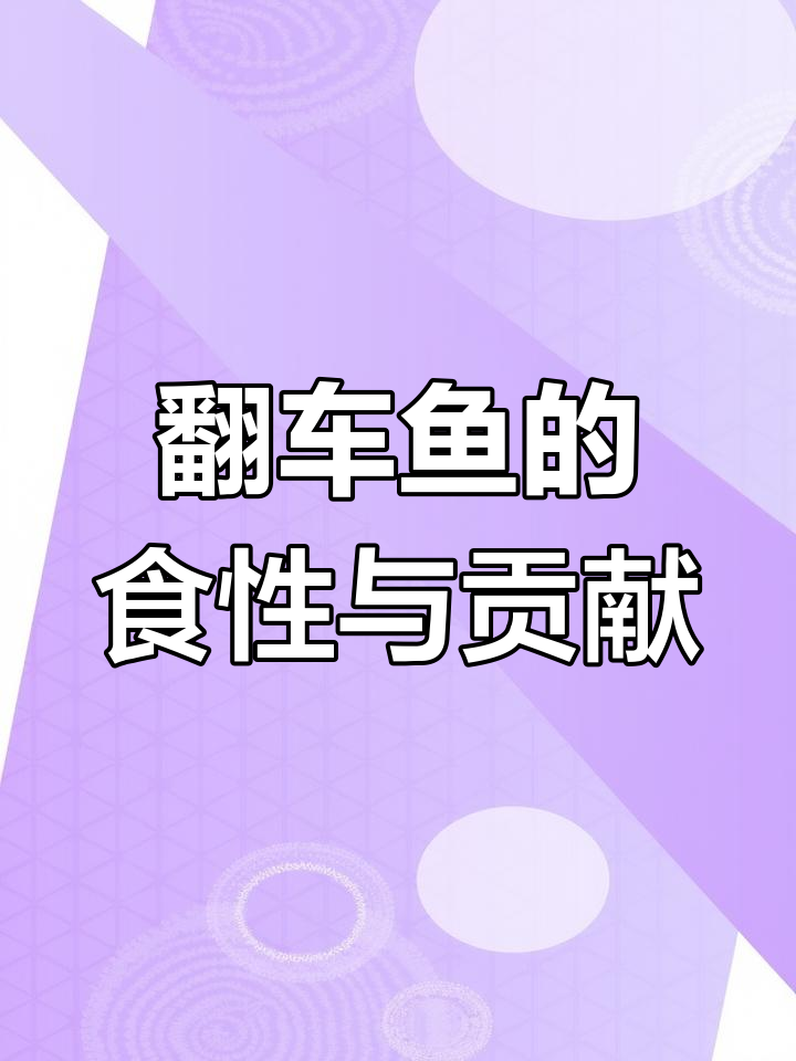 翻车鱼吃什么?揭秘它的食物来源与奇特能力