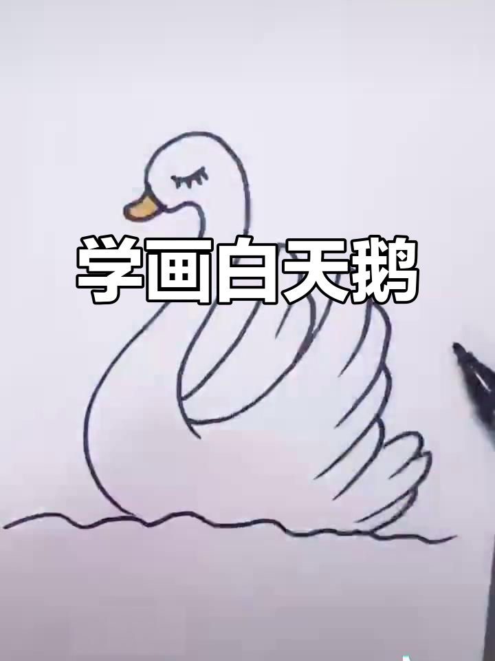 轻松学画白天鹅，马克笔简笔画教程