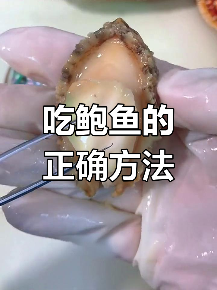 鲍鱼吃法全解析,这些部位不能碰