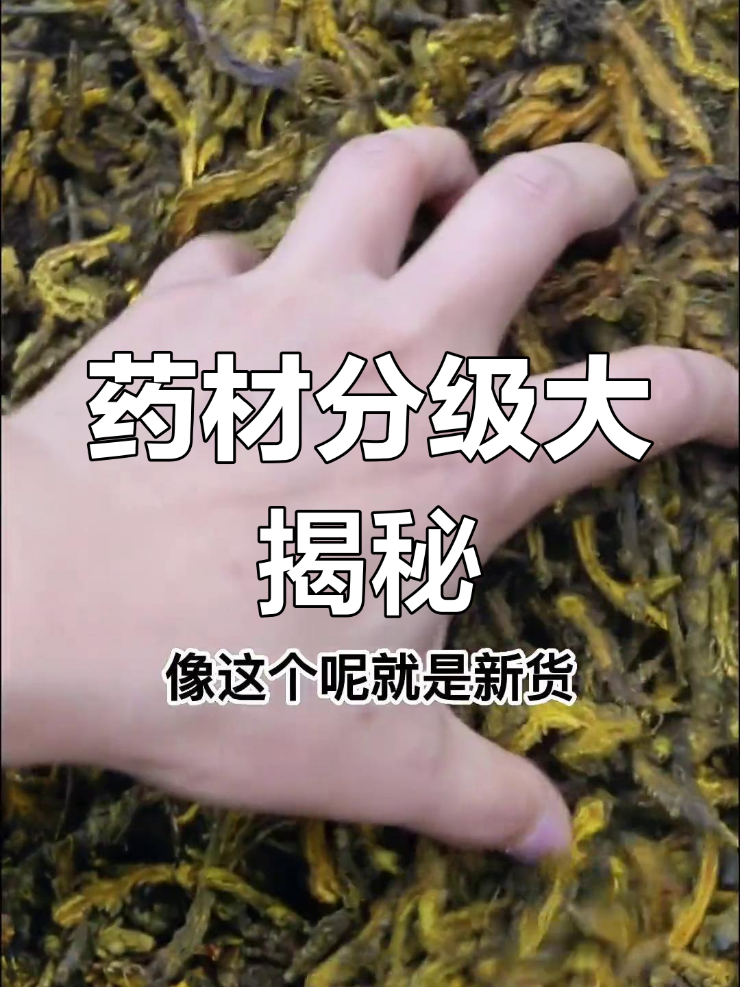 你吃的药材是几级?黄连、甘草、茜草等级揭秘