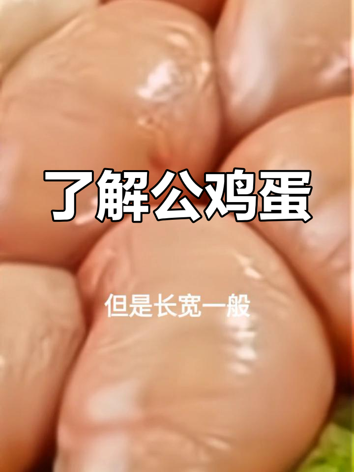 公鸡蛋的真相:鸡睾丸的营养与美味