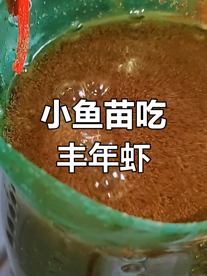 丰年虾卵孵化技巧,如何喂小鱼苗?