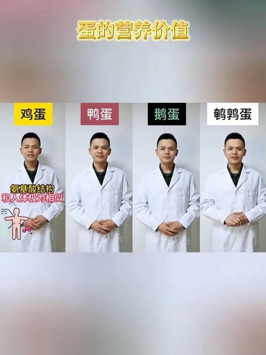 讲究科学饮食才是身体最好的保证,一起来了解一下常见蛋类的营养价值和区别!高原战士军营零距离