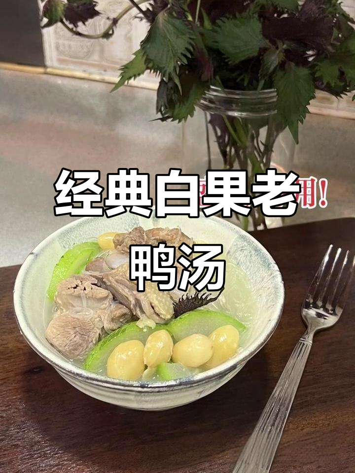 白果老鸭粉丝汤,滋补又美味