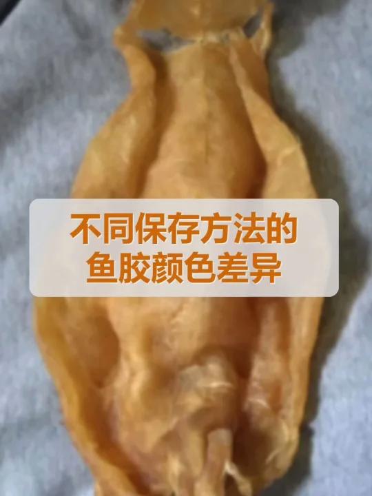 鱼胶不同保存方法的颜色差异
