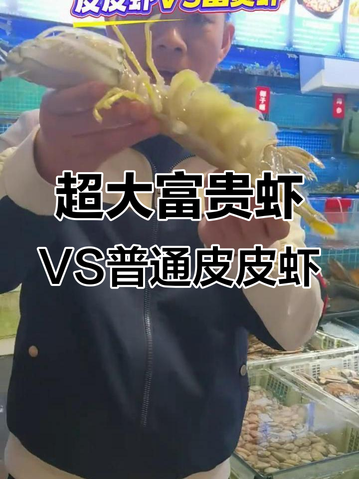 皮皮虾与富贵虾大比拼,哪个更胜一筹?