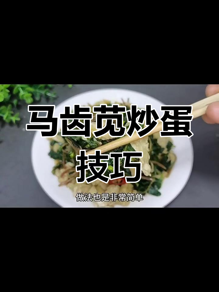 夏季马齿苋炒鸡蛋,先放什么才更美味?