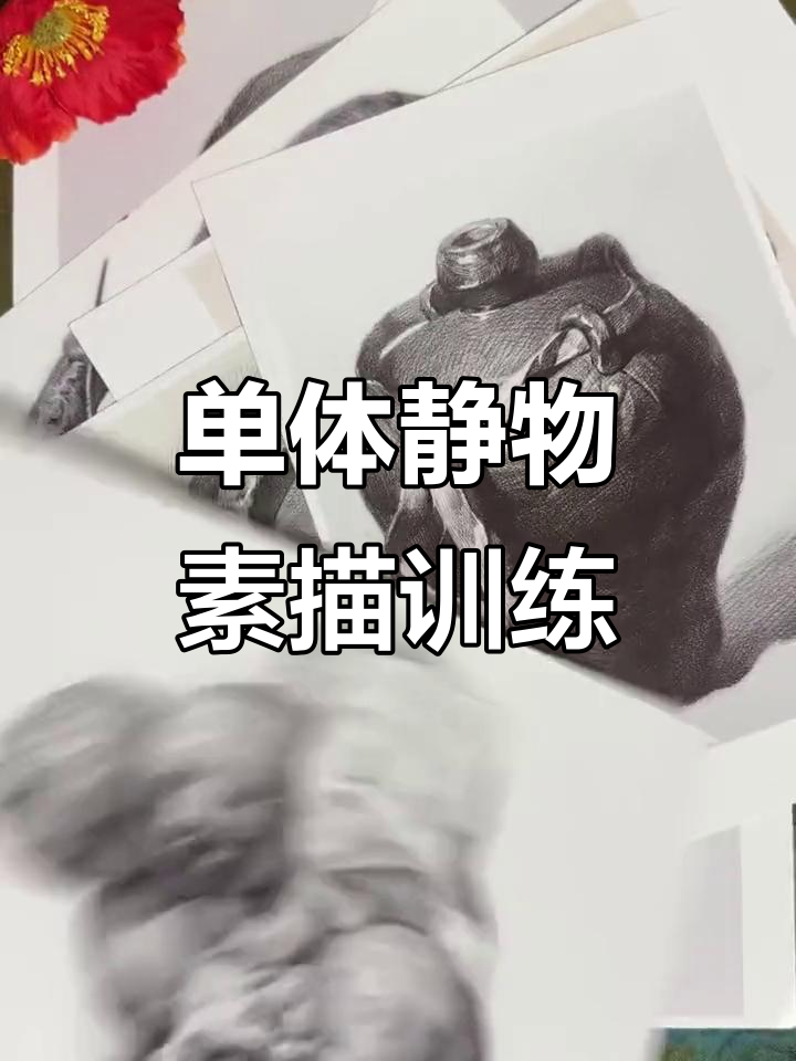 素描静物临摹素材,60张高清图片助力美术联考