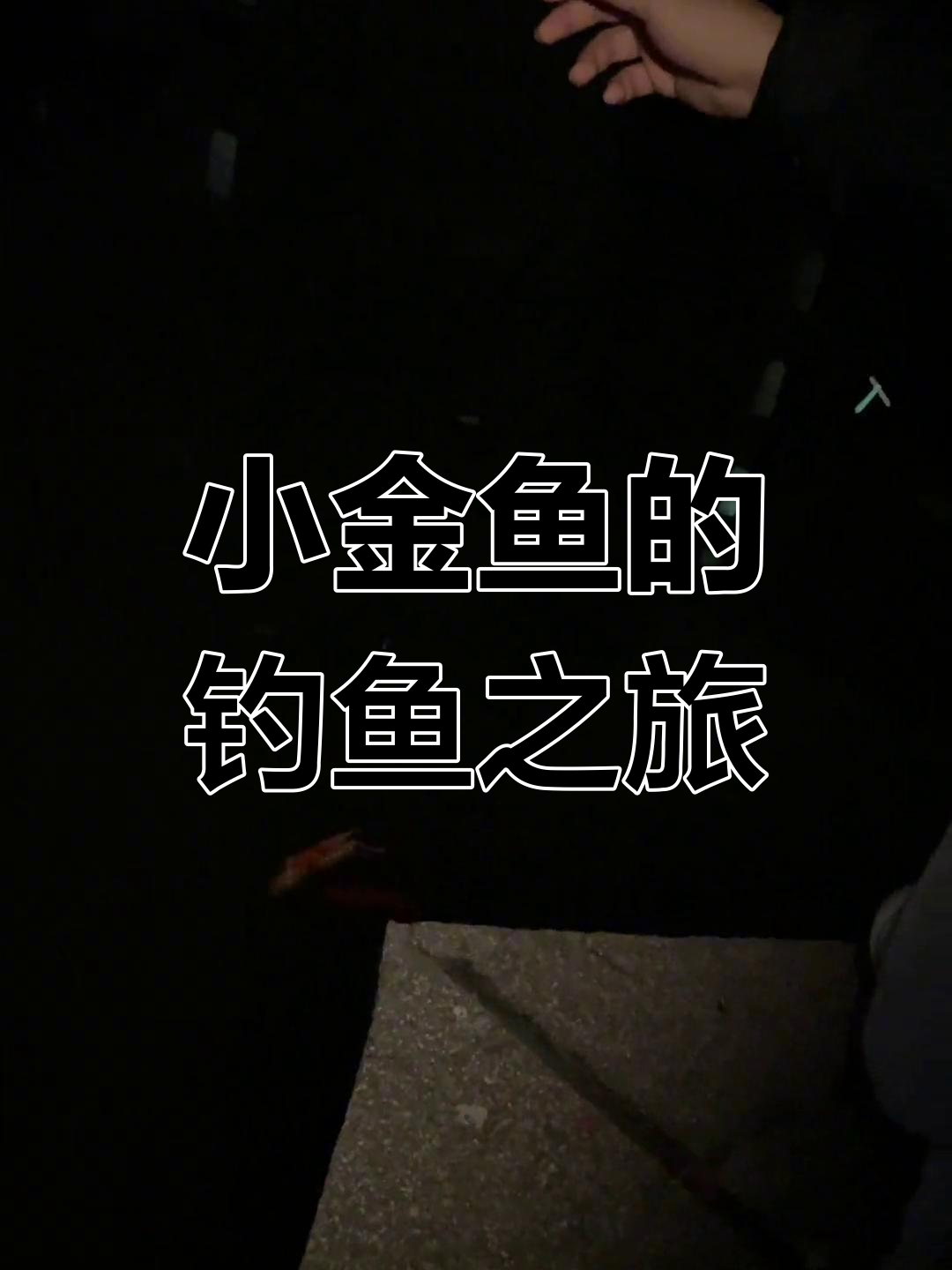 男友用米饭做鱼饵,竟然钓不到小金鱼!