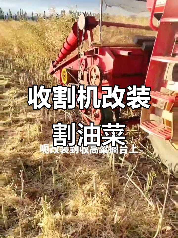 老农民巧用收割机割油菜,二刀改装惊艳全场