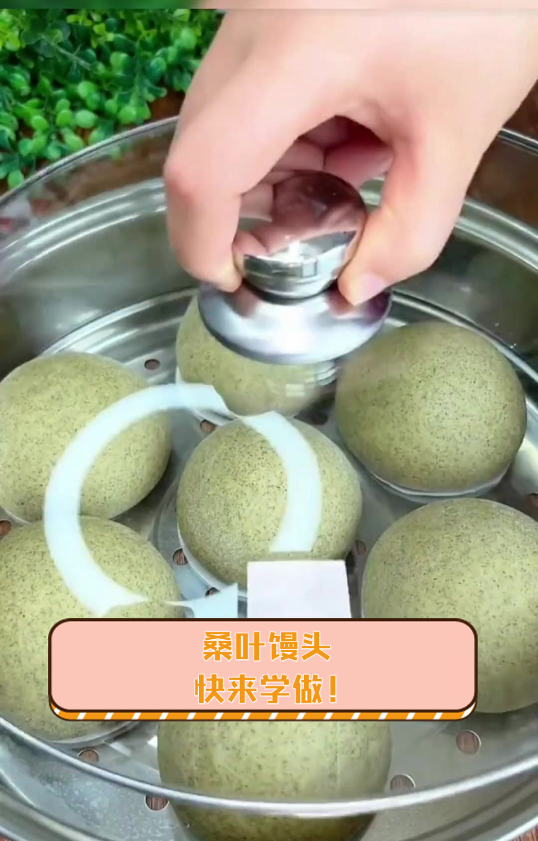 桑叶馒头,快来学做!