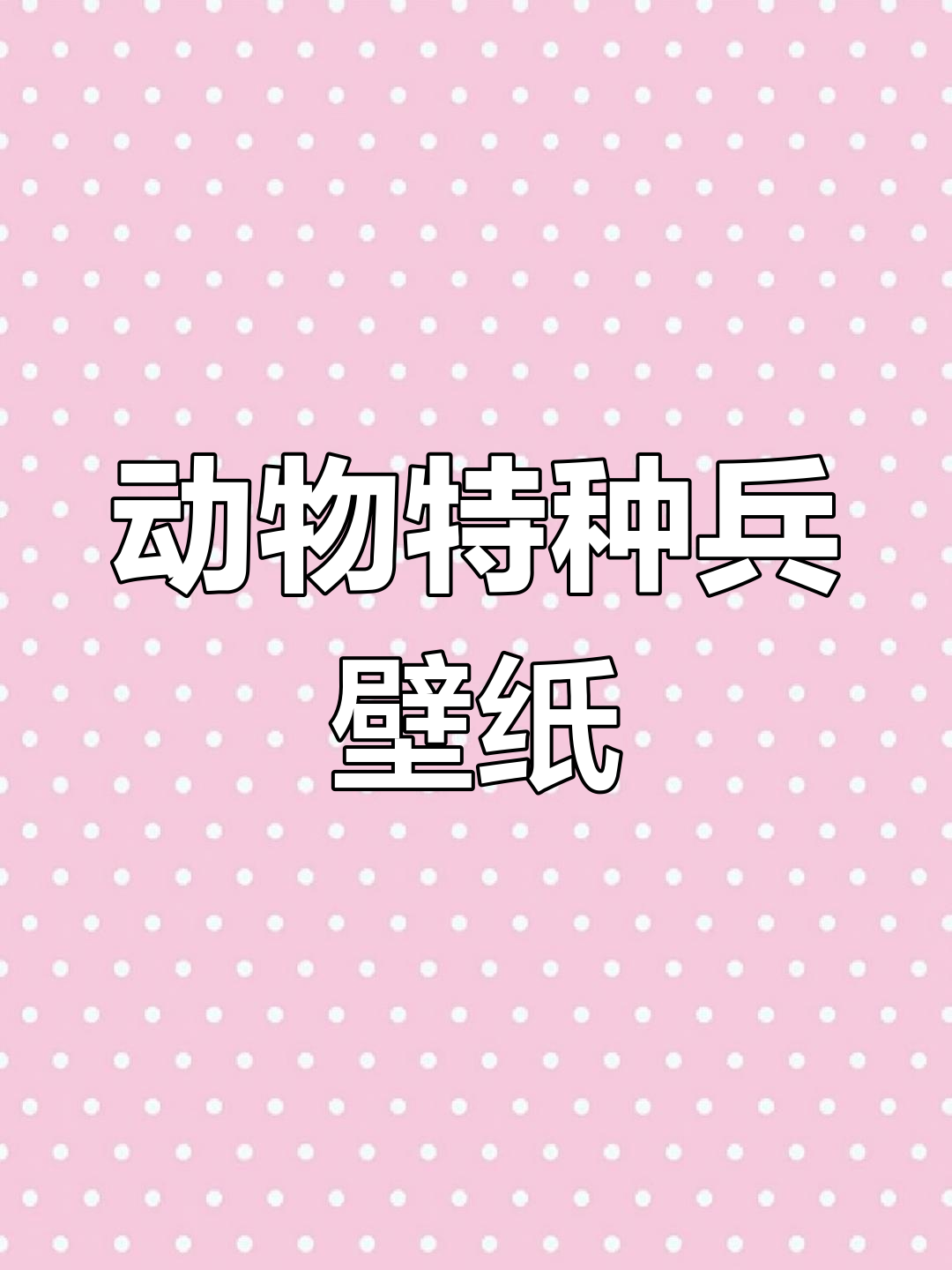 动物特种兵壁纸大赏,战场上的英雄们