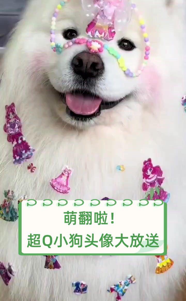 萌翻啦!超Q小狗头像大放送