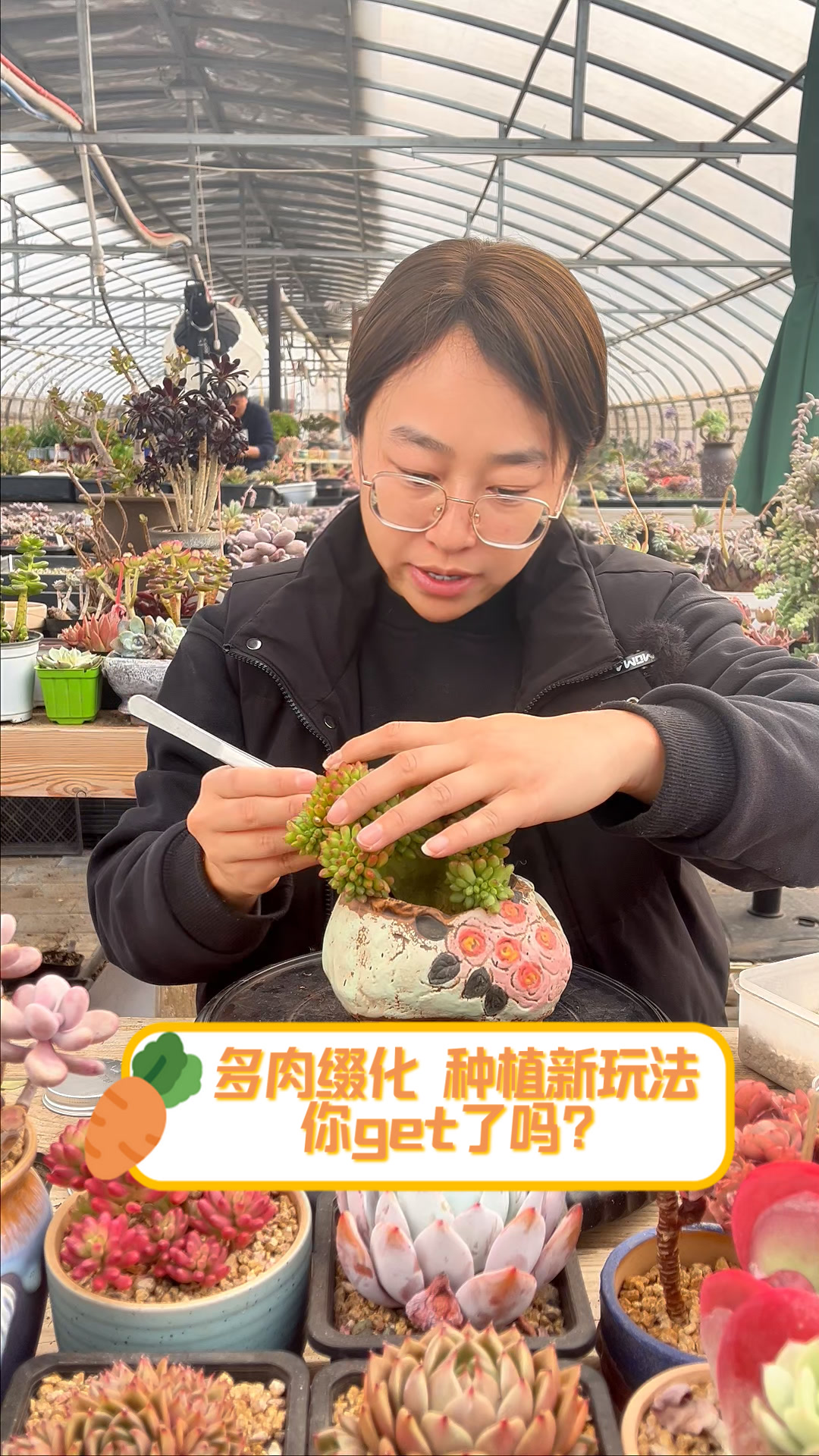 多肉缀化,种植新玩法,你get了吗?
