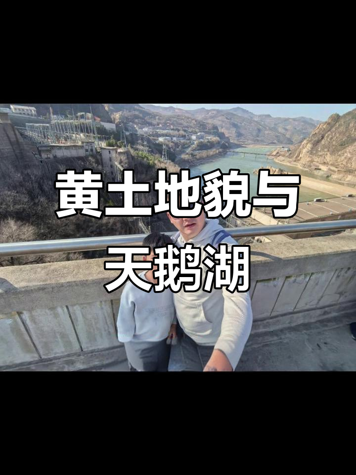 三门峡黄土美景,天鹅湖海鸥多,酒店服务周到