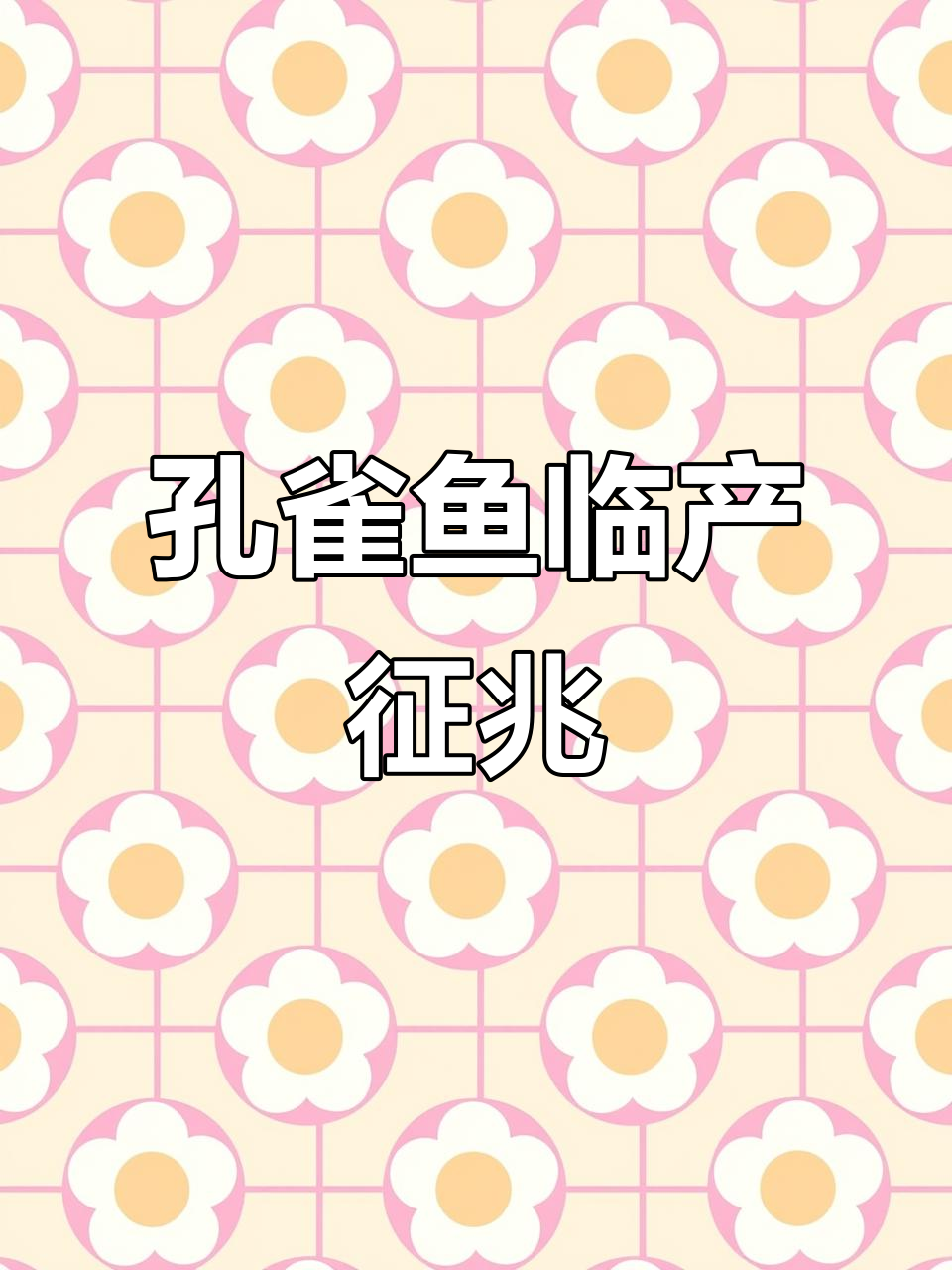 孔雀鱼即将分娩?这些信号帮你轻松识别!