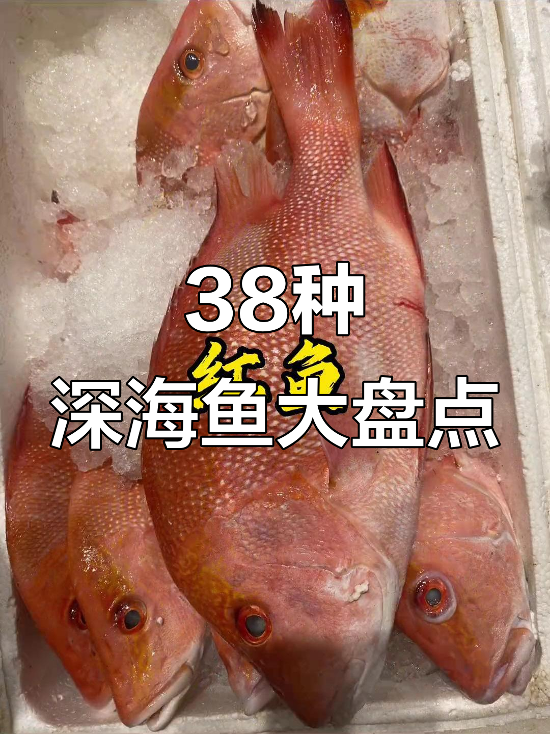 38种深海鱼，你尝过几种？海鲜原产地大揭秘