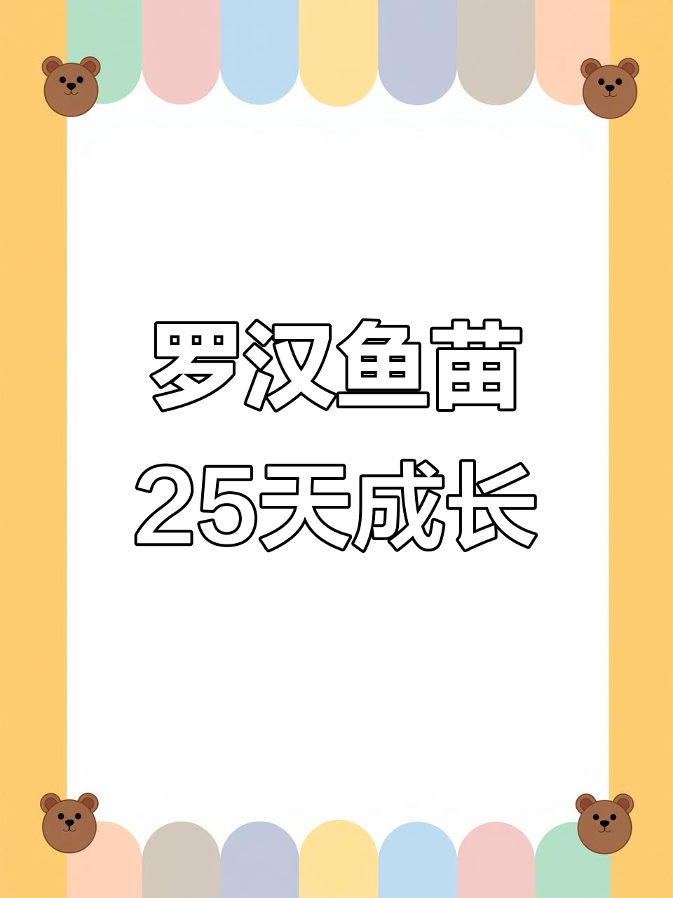 25天古典罗汉鱼苗成长记录,萌态十足