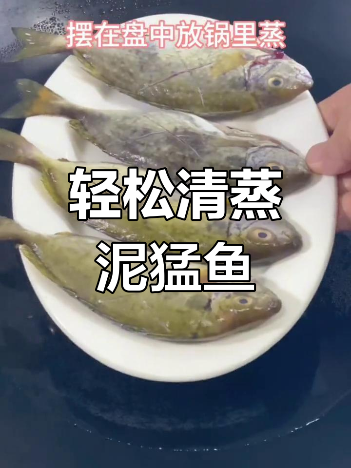 清蒸泥猛鱼,简单美味又营养