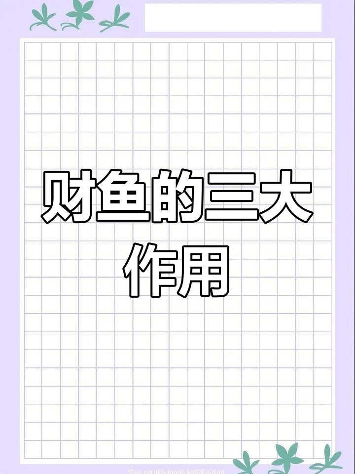 财鱼三大神奇功效,了解一下
