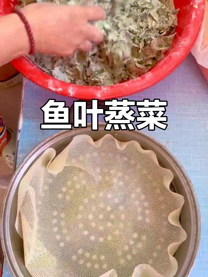 传统河北榆树叶蒸菜做法