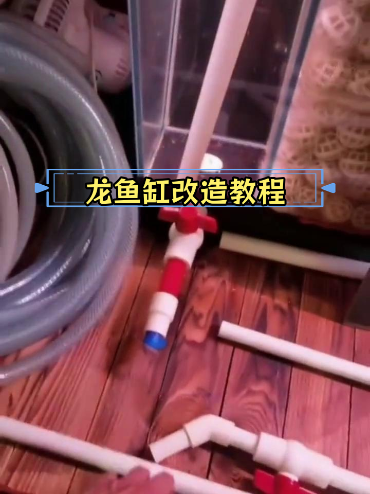 龙鱼缸DIY改造:沉淀仓与干湿分离设计