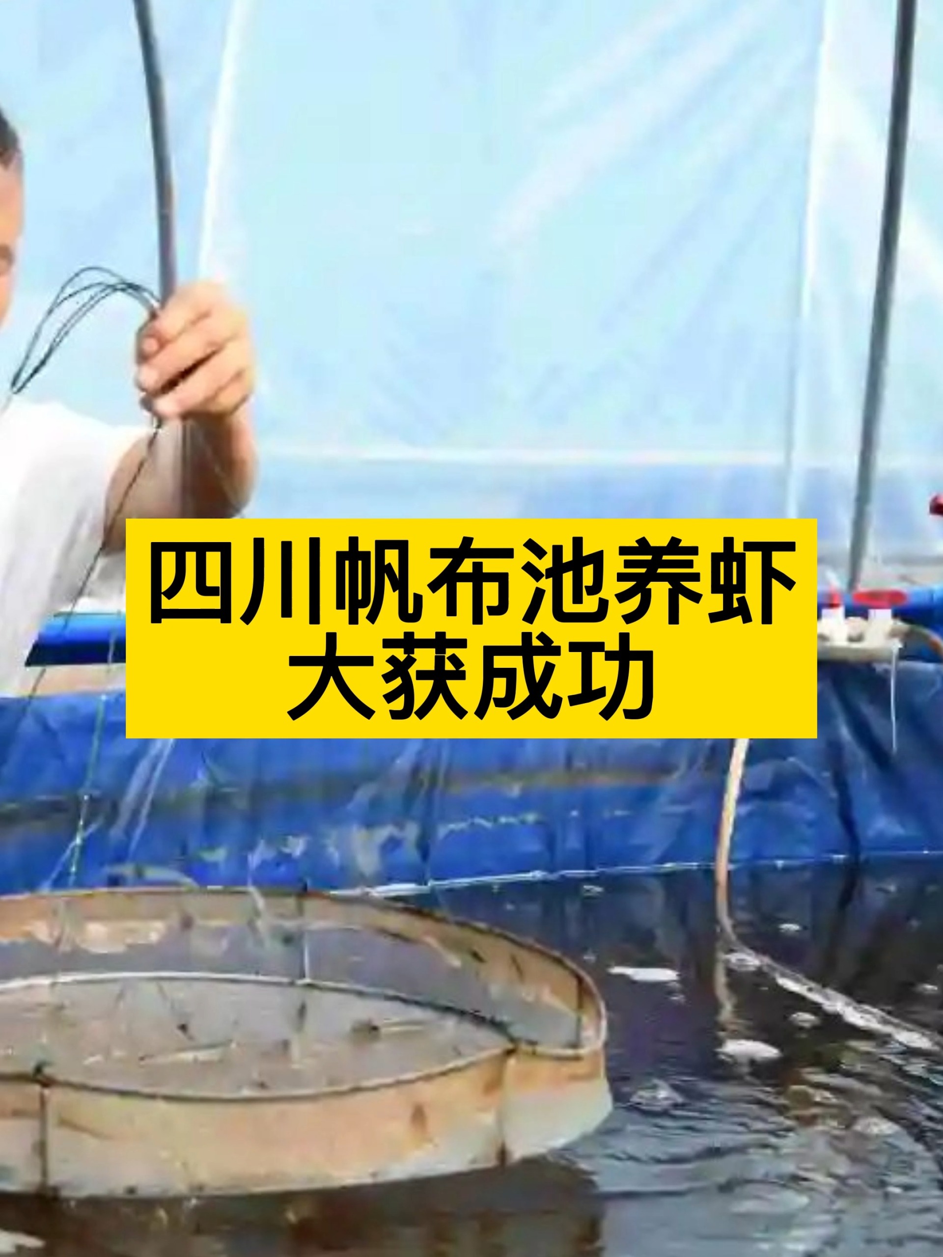 投资120万,四川打造帆布池养虾,效益高!