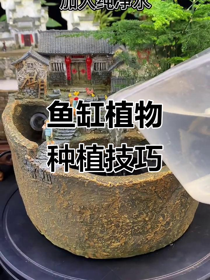 鱼缸流水摆件教程，轻松打造自然景观