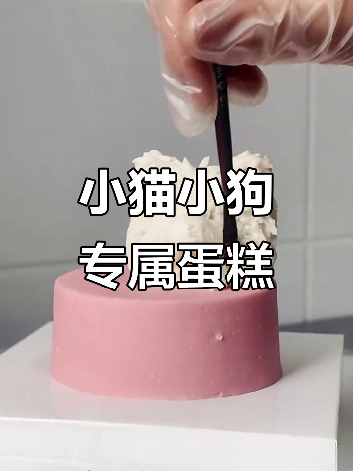 宠物也能吃蛋糕,无糖无盐的肉味奶油生日惊喜