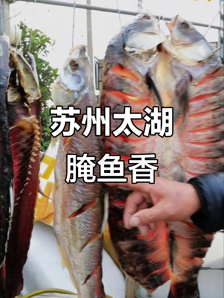 太湖边腌鱼,青红鲤香飘满屋