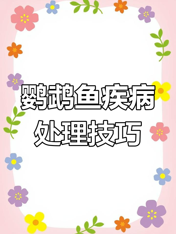 鹦鹉鱼常见疾病及应对方法,轻松解决健康问题