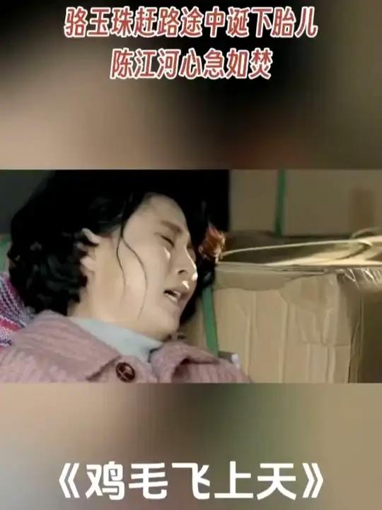 骆玉珠赶路途中诞下胎儿陈江河心急如焚鸡毛飞上天鸡毛飞上天殷桃张译殷桃张译